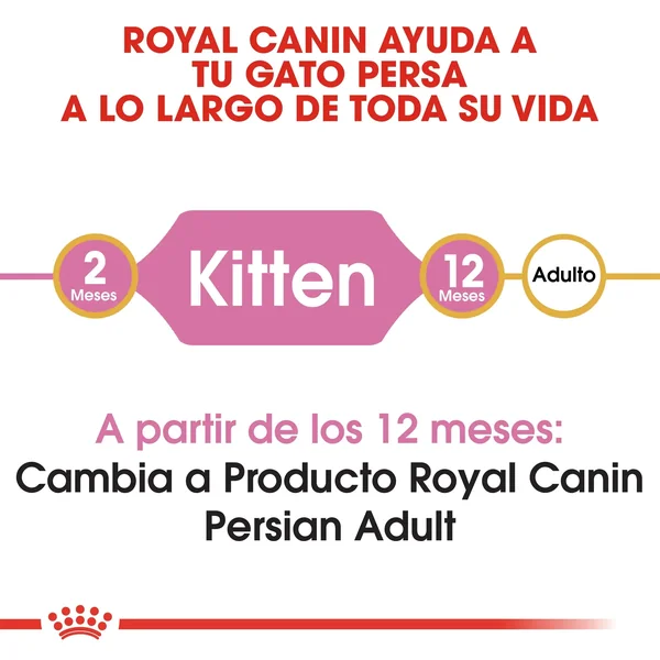 Royal Canin Kitten Persian Pienso Seco para Gatitos Persas