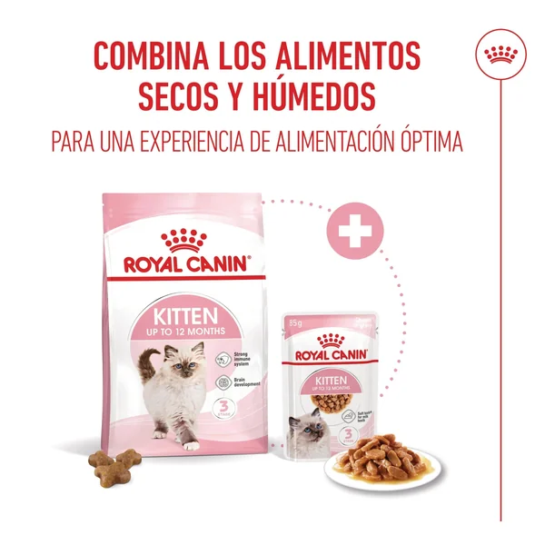 Royal Canin Kitten Pienso para Gatitos