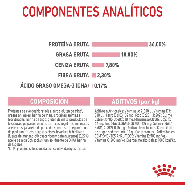 Royal Canin Kitten Pienso para Gatitos