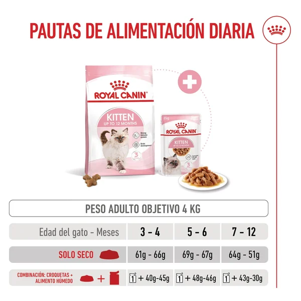 Royal Canin Kitten Pienso para Gatitos