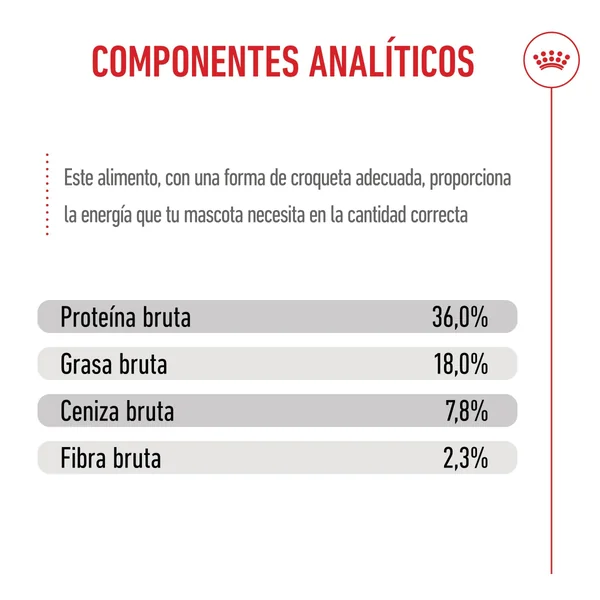 Royal Canin Kitten Pienso para Gatitos