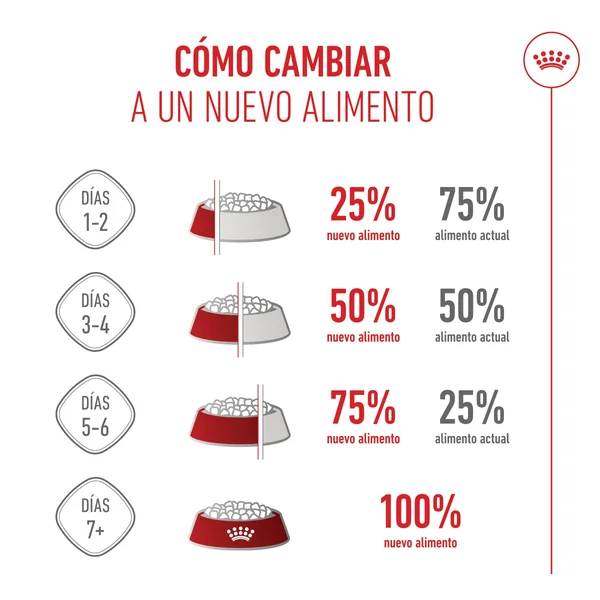 Royal Canin Kitten Pienso para Gatitos
