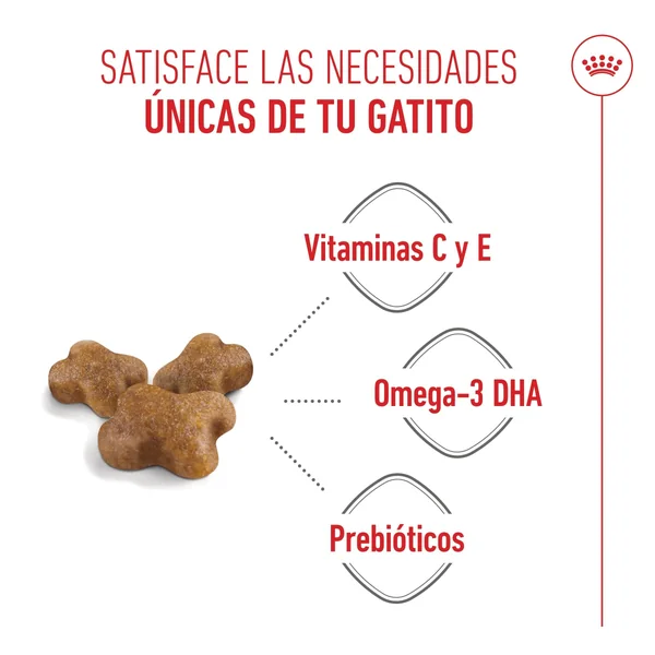 Royal Canin Kitten Pienso para Gatitos