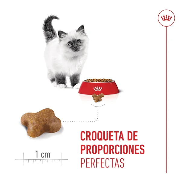 Royal Canin Kitten Pienso para Gatitos