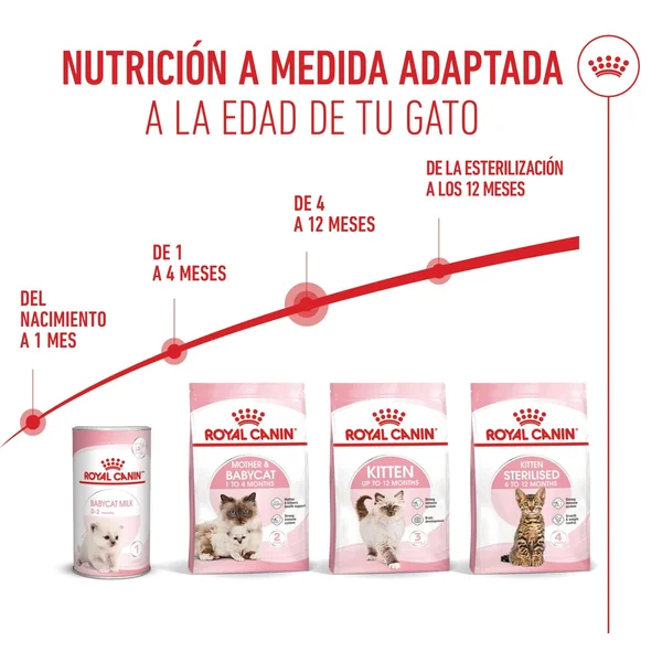Royal Canin Kitten Pienso para Gatitos