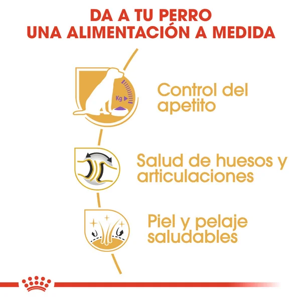 Royal Canin Labrador Adult Sterilized Pienso para Perros Esterilizados de Raza