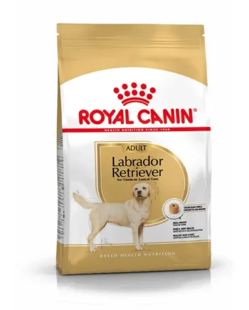 Royal Canin Labrador Pienso para Perros Adultos de Raza