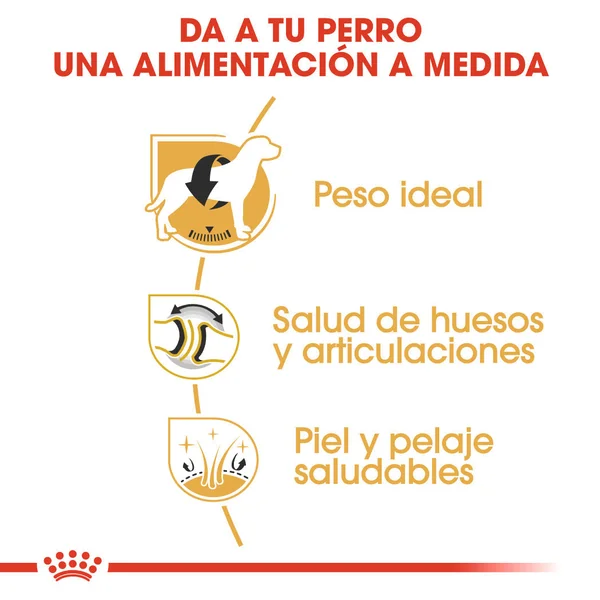 Royal Canin Labrador Pienso para Perros Adultos de Raza