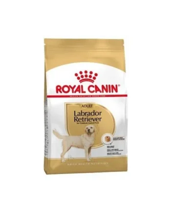 Royal Canin Labrador Retriever Adulto