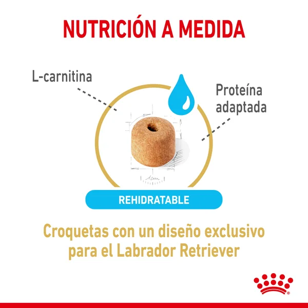 Royal Canin Labrador Retriever Ageing 5+ Pienso para Perros de Raza
