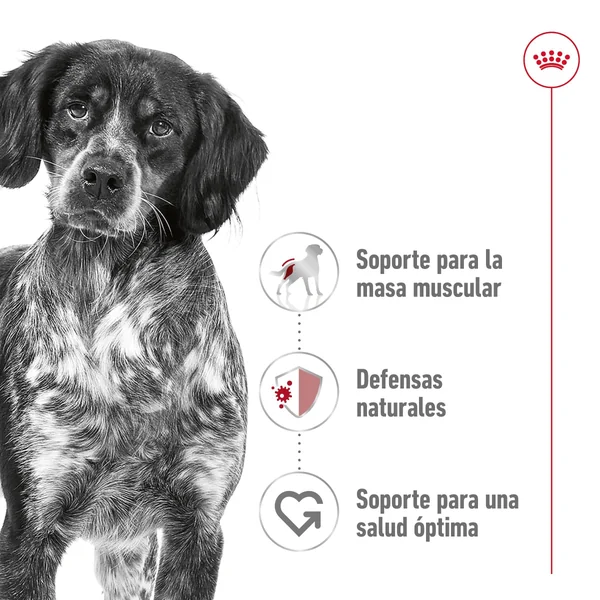 Royal Canin Medium Adult Pienso para Perros