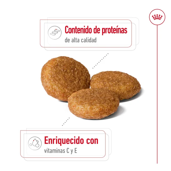 Royal Canin Medium Adult Pienso para Perros