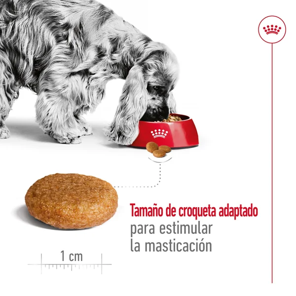 Royal Canin Medium Adult Pienso para Perros