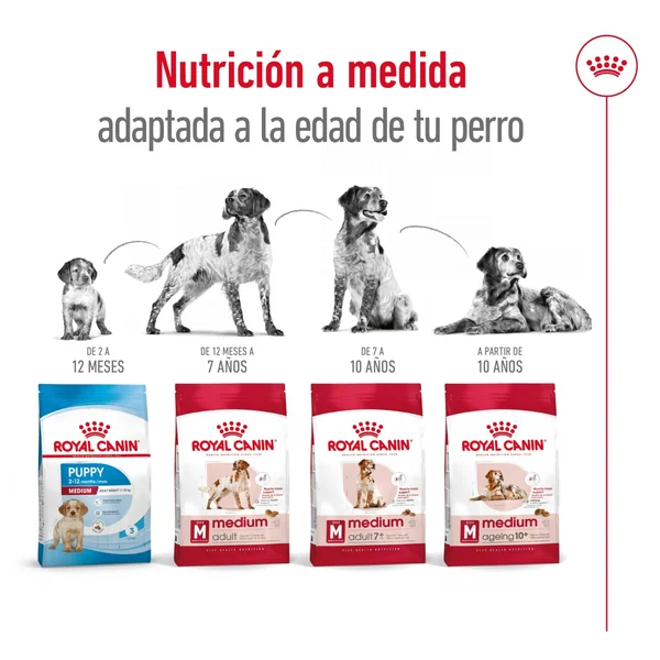Royal Canin Medium Adult Pienso para Perros