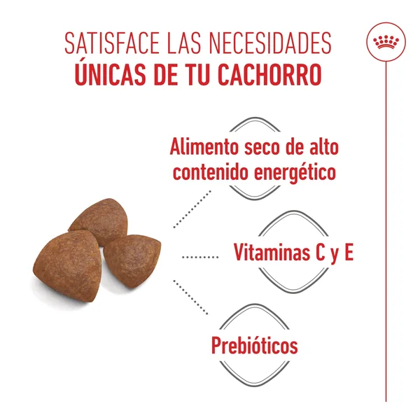 Royal Canin Medium Starter Mother & Babydog Pienso para Cachorros y Madres Lactantes