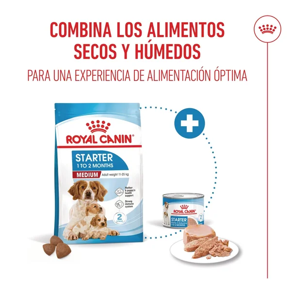 Royal Canin Medium Starter Mother & Babydog Pienso para Cachorros y Madres Lactantes