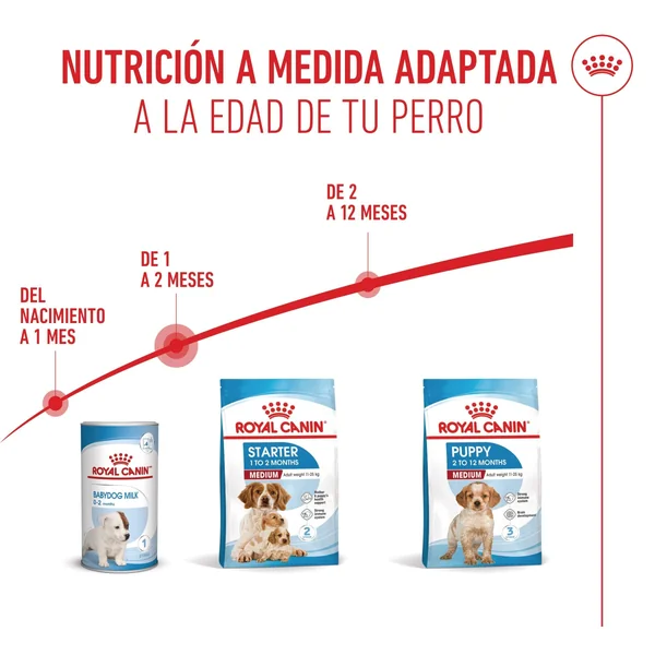 Royal Canin Medium Starter Mother & Babydog Pienso para Cachorros y Madres Lactantes