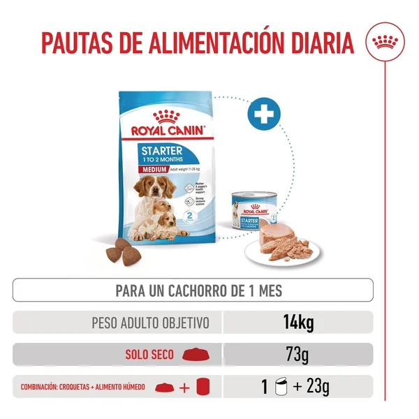 Royal Canin Medium Starter Mother & Babydog Pienso para Cachorros y Madres Lactantes