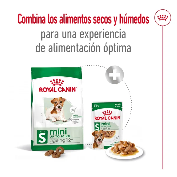 Royal Canin Mini Ageing+12 Pienso para Perros Senior