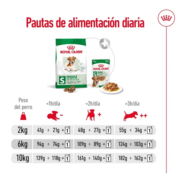 Royal Canin Mini Ageing+12 Pienso para Perros Senior