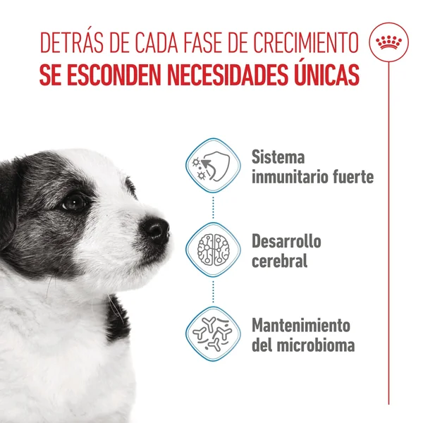 Royal Canin Mini Puppy Pienso para Cachorros