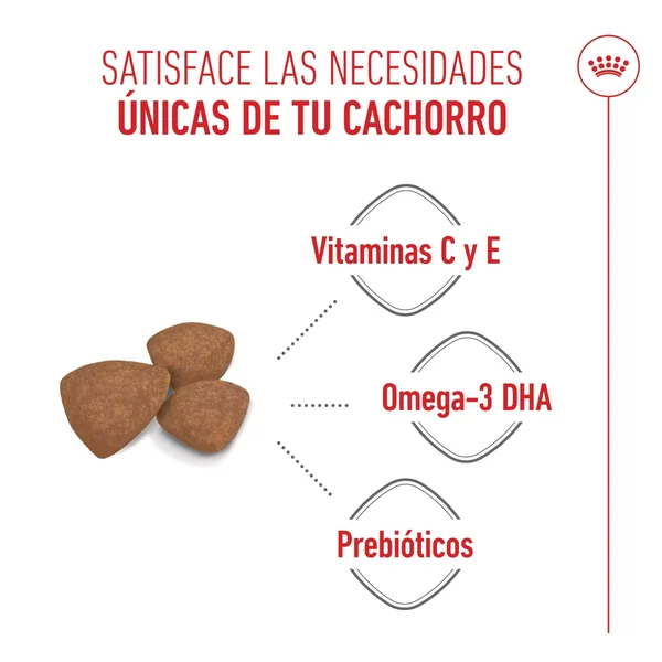 Royal Canin Mini Puppy Pienso para Cachorros