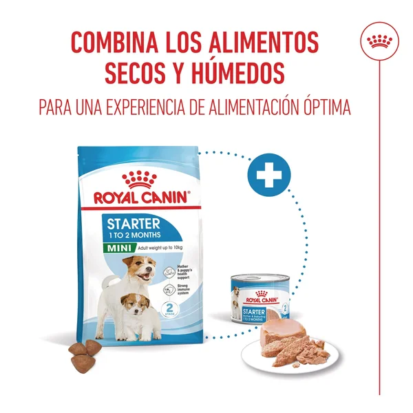 Royal Canin Mini Starter Mother & Babydog Pienso para Cachorros y Madres Lactantes