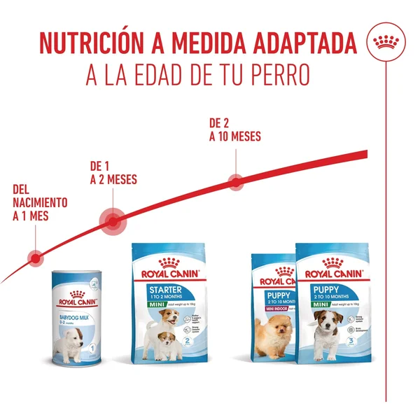 Royal Canin Mini Starter Mother & Babydog Pienso para Cachorros y Madres Lactantes