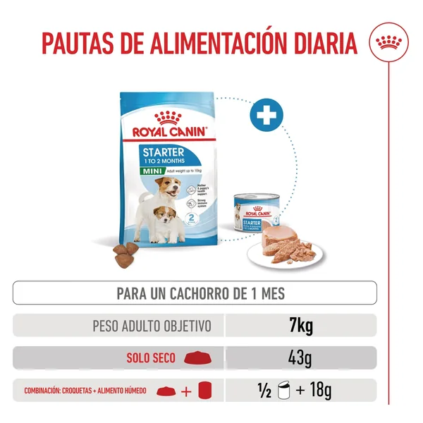Royal Canin Mini Starter Mother & Babydog Pienso para Cachorros y Madres Lactantes