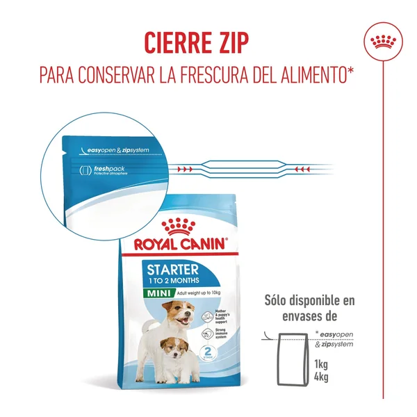 Royal Canin Mini Starter Mother & Babydog Pienso para Cachorros y Madres Lactantes
