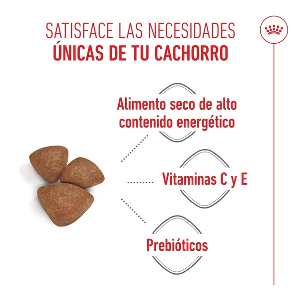 Royal Canin Mini Starter Mother & Babydog Pienso para Cachorros y Madres Lactantes