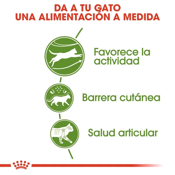 ROYAL CANIN Outdoor 30 Pienso Para Gato Adulto De Exterior premium a los mejores precios: compra en línea en Productos Para Gatos en le España.