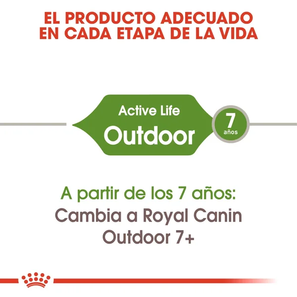 ROYAL CANIN Outdoor 30 Pienso Para Gato Adulto De Exterior premium a los mejores precios: compra en línea en Productos Para Gatos en le España.