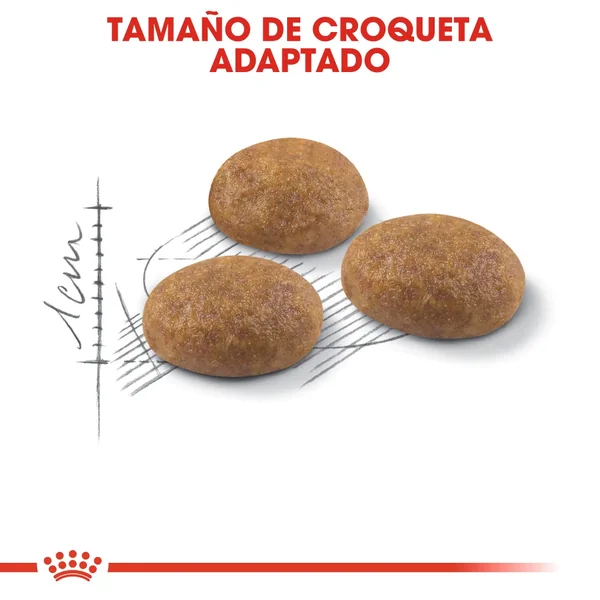 ROYAL CANIN Outdoor 30 Pienso Para Gato Adulto De Exterior premium a los mejores precios: compra en línea en Productos Para Gatos en le España.