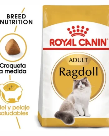 Royal Canin Ragdoll Pienso para Gato Adulto