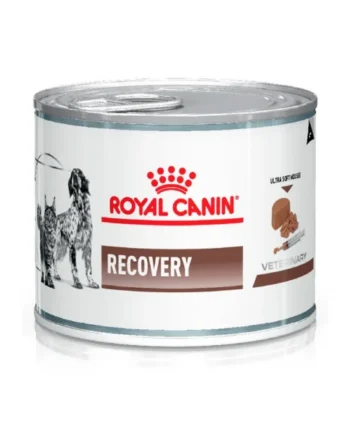 Royal Canin Recovery Mousse Perro y Gato