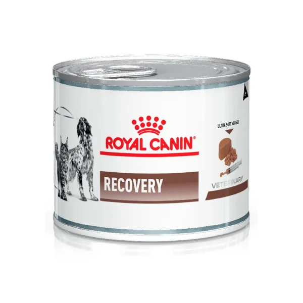 Royal Canin Recovery Mousse Perro y Gato