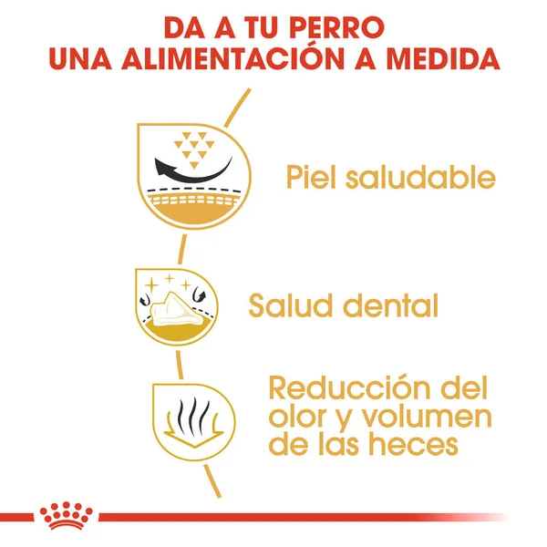 Royal Canin Shih Tzu Adulto Pienso para Perros de Raza
