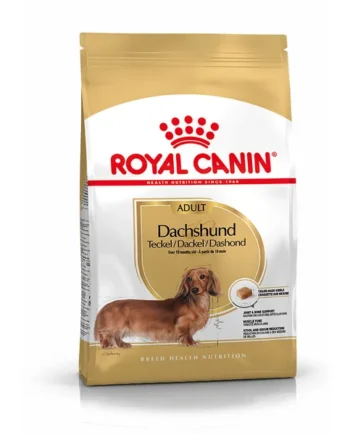 Royal Canin Teckel Dachsund Adulto Pienso para Perros de Raza