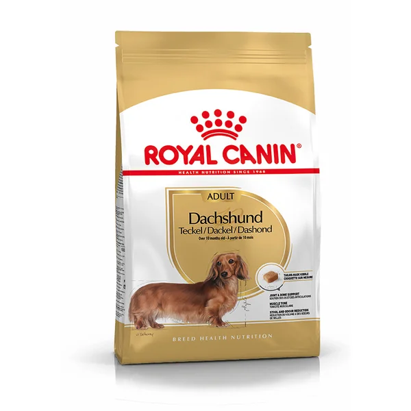 Royal Canin Teckel Dachsund Adulto Pienso para Perros de Raza