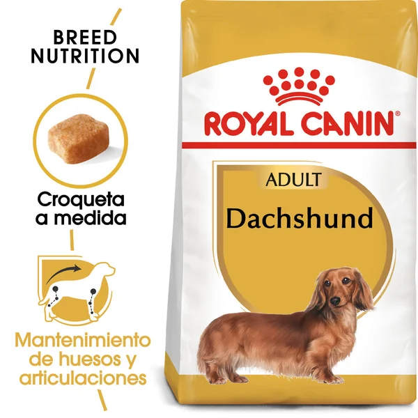 Royal Canin Teckel Dachsund Adulto Pienso para Perros de Raza