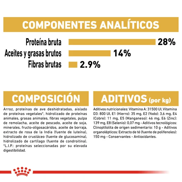 Royal Canin Teckel Dachsund Adulto Pienso para Perros de Raza