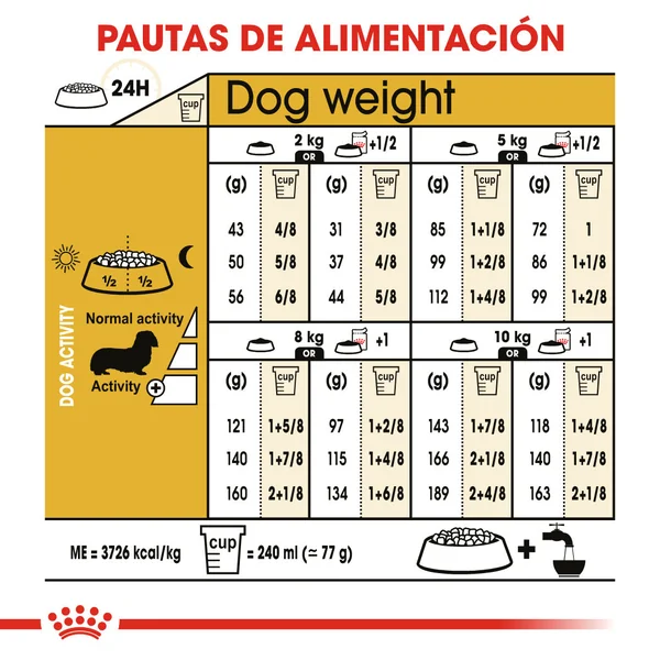 Royal Canin Teckel Dachsund Adulto Pienso para Perros de Raza