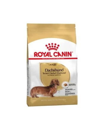 Royal Canin Teckel para Perros