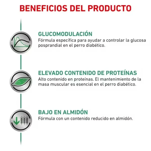 Royal Canin Veterinary Diabetic 12 kg Pienso para Perros Diabéticos