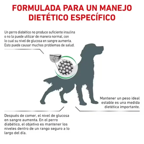Royal Canin Veterinary Diabetic 12 kg Pienso para Perros Diabéticos