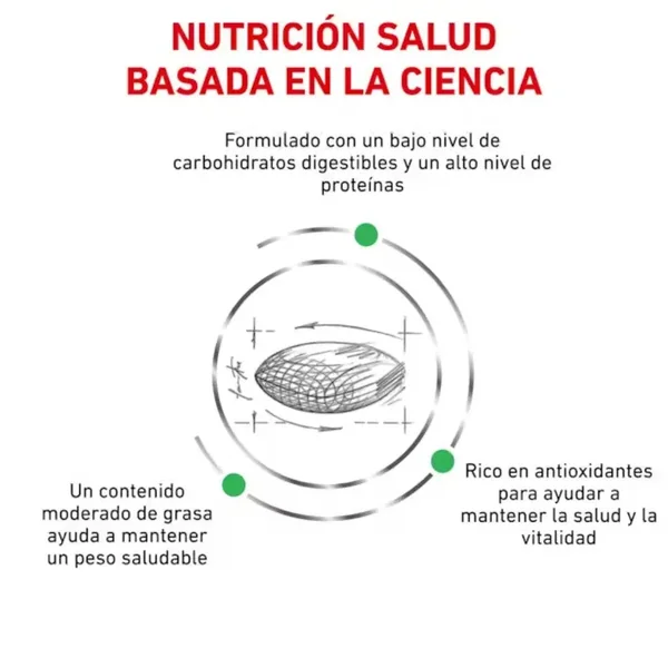Royal Canin Veterinary Diabetic 1,5 kg Pienso para Perros Diabéticos