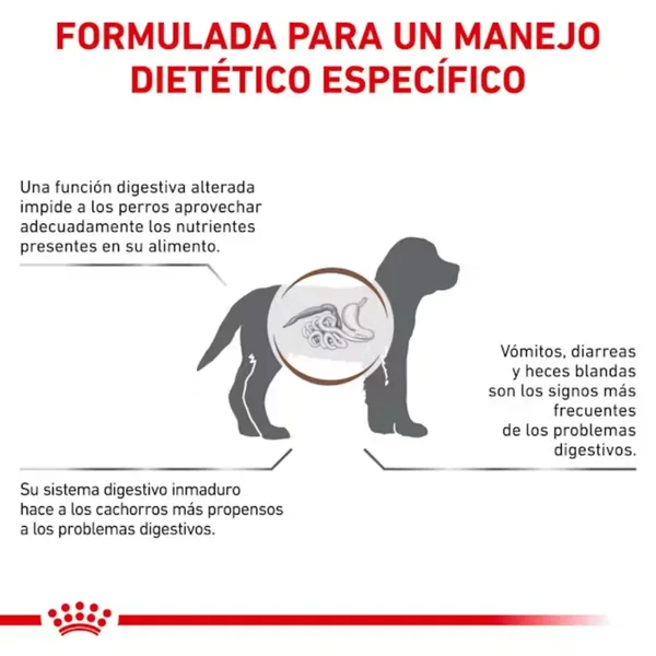 Royal Canin Veterinary Gastrointestinal Puppy 2.5 kg Perro