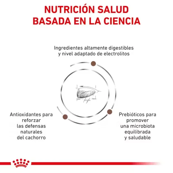 Royal Canin Veterinary Gastrointestinal Puppy 2.5 kg Perro