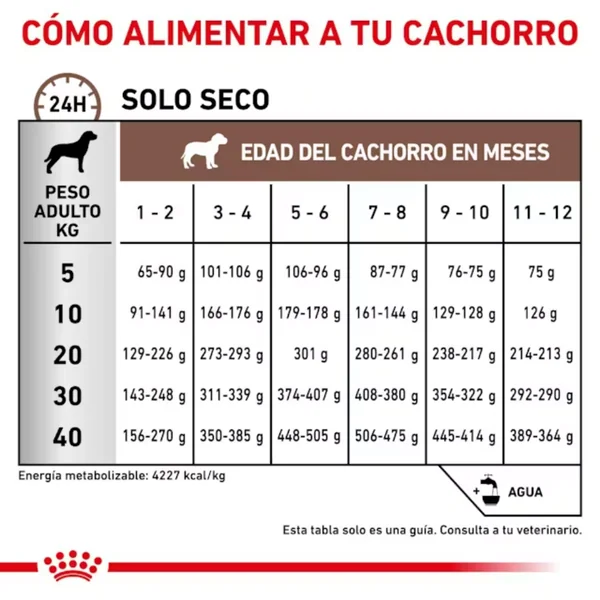Royal Canin Veterinary Gastrointestinal Puppy 2.5 kg Perro